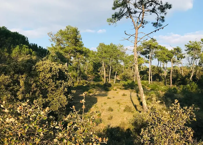 Le Chene Vert, Piscine Et Foret Casa vacanze