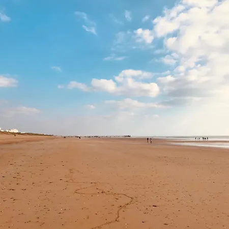 Le Chene Vert, Piscine Et Foret