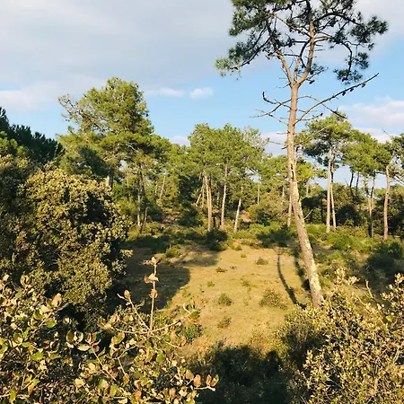 Le Chene Vert, Piscine Et Foret Tatil Evi